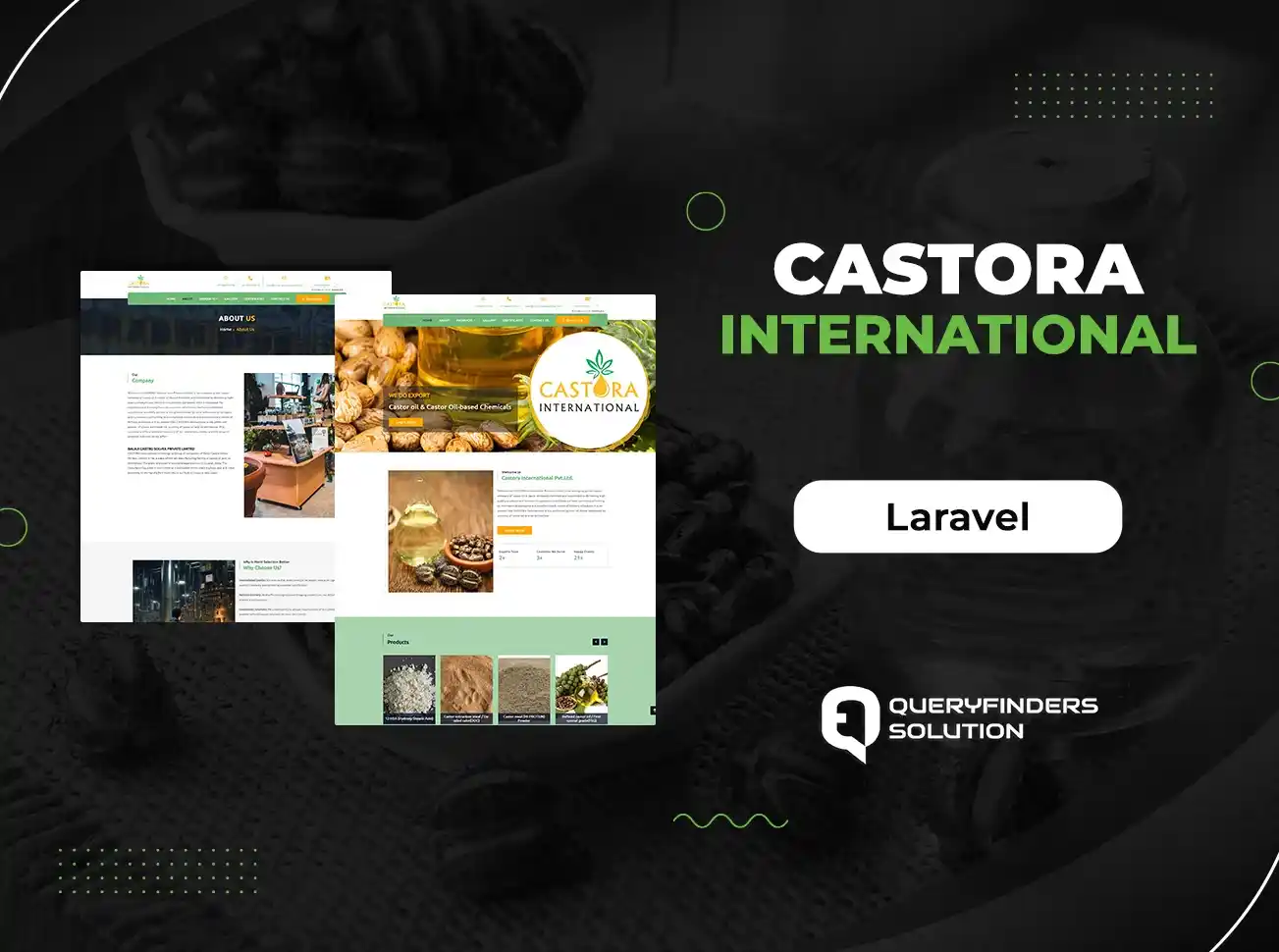 queryfinders/Castora International